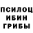 Галлюциногенные грибы MAGIC MUSHROOMS Oleksandr Litvin
