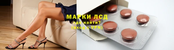 прущие грибы Тихвин