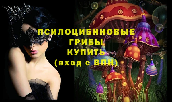 стаф Няндома