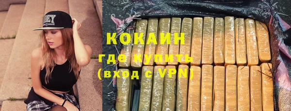 стаф Няндома