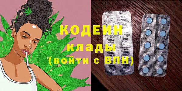 стаф Няндома
