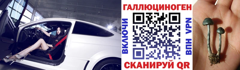 Галлюциногенные грибы MAGIC MUSHROOMS  мега рабочий сайт  площадка какой сайт  Зеленоградск 